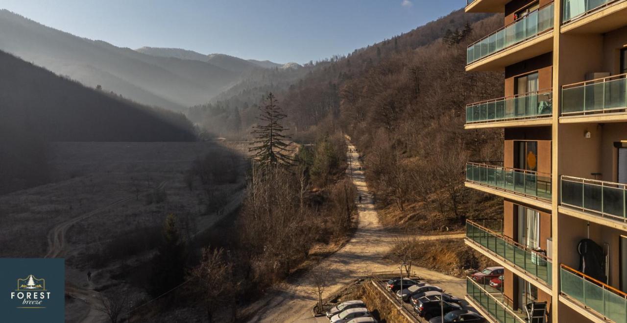 Forest Breeze ApartTerrace Brașov Exterior foto