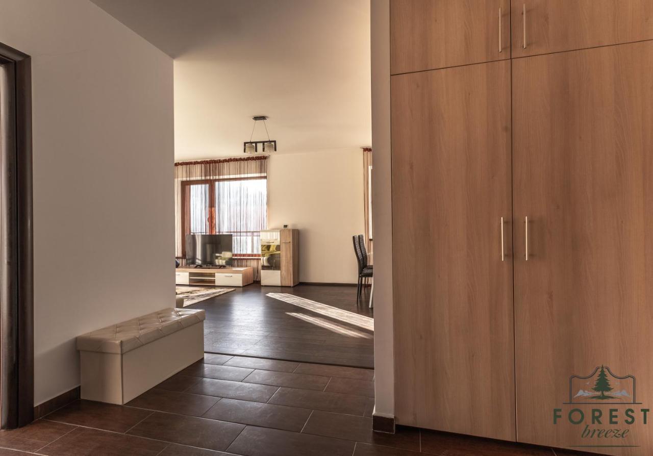 Forest Breeze ApartTerrace Brașov Exterior foto