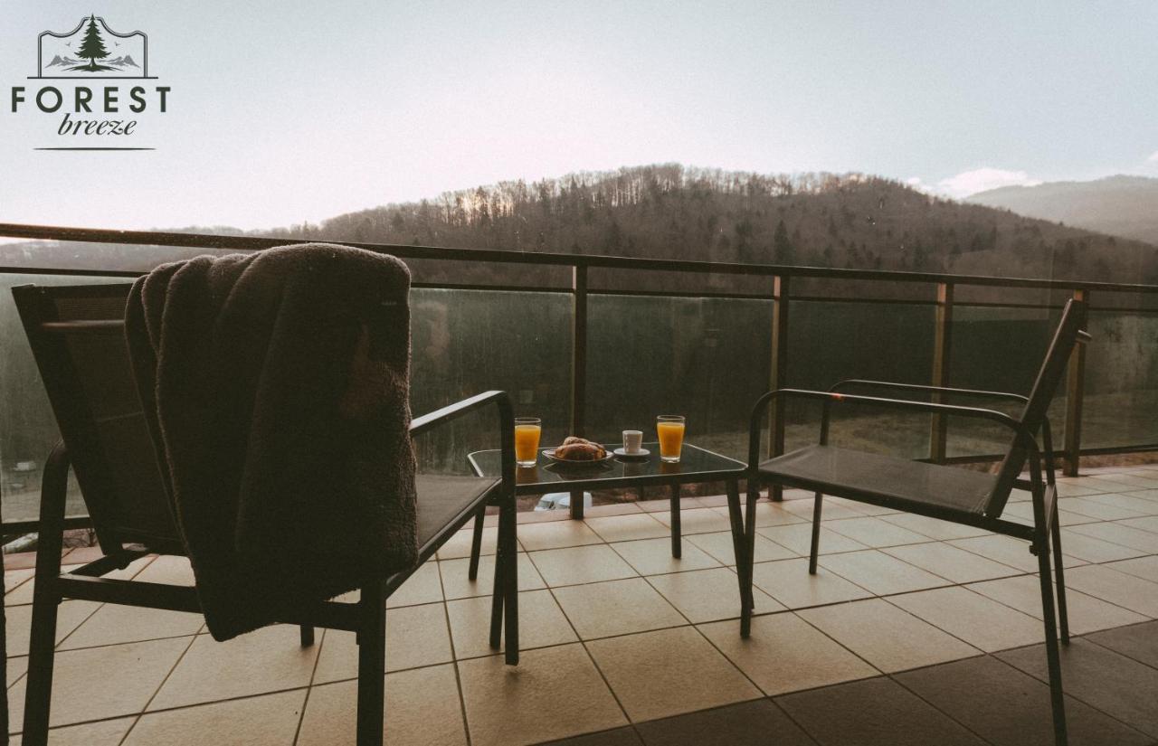 Forest Breeze ApartTerrace Brașov Exterior foto