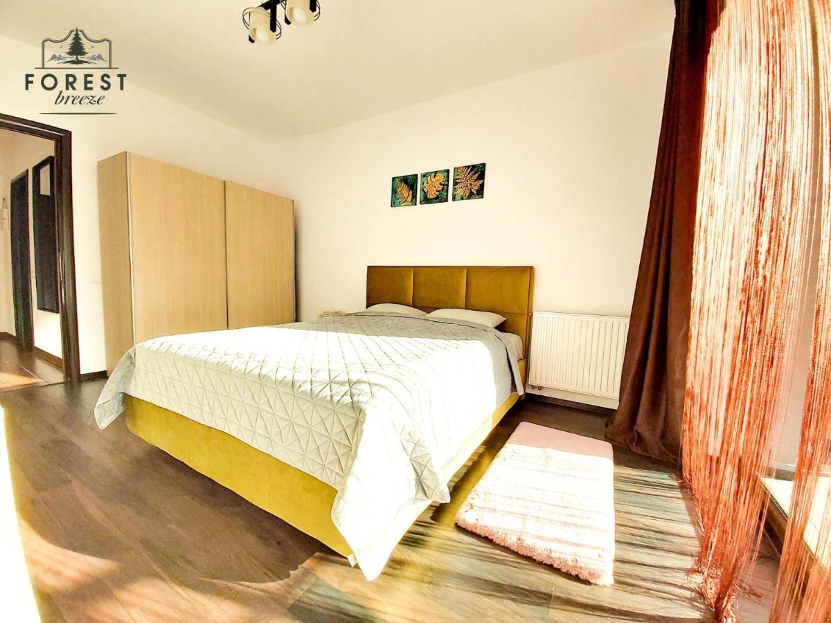 Forest Breeze ApartTerrace Brașov Exterior foto